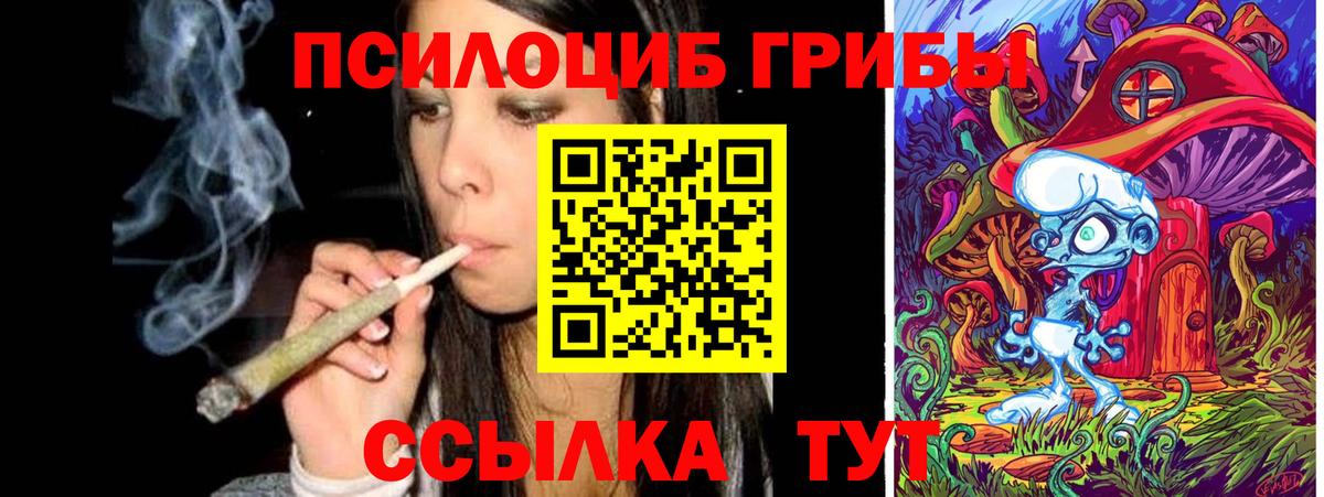 Конаково  Галлюциногенные грибы мицелий  Вход с VPN 