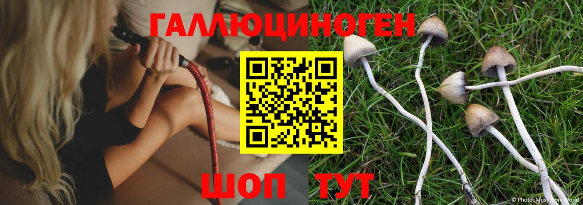 Псилоцибиновые грибы MAGIC MUSHROOMS Конаково